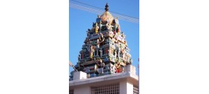 தென்சேரி மலை - கோயம்புத்தூர்